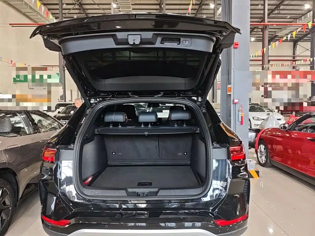 BYD PLUS New Energy 2024 — фото 19