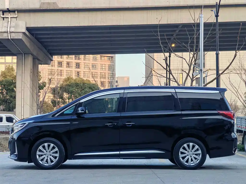 GAC Motor Trumpchi M8 2020 — фото 18