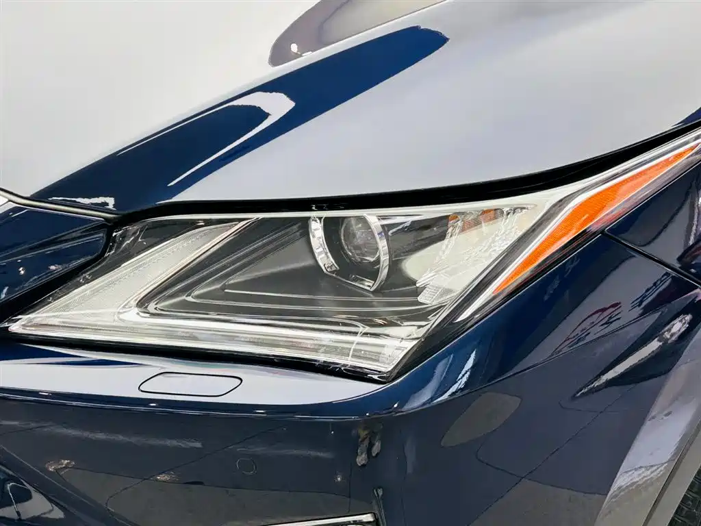 Lexus RX 2019 — фото 11