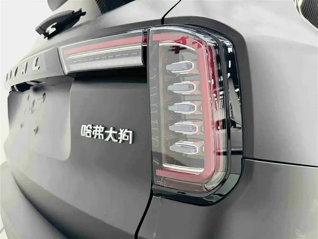 Haval Big Dog 2022 — фото 22