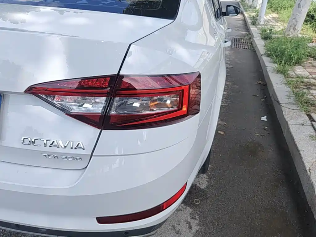 Skoda Octavia 2020 — фото 8