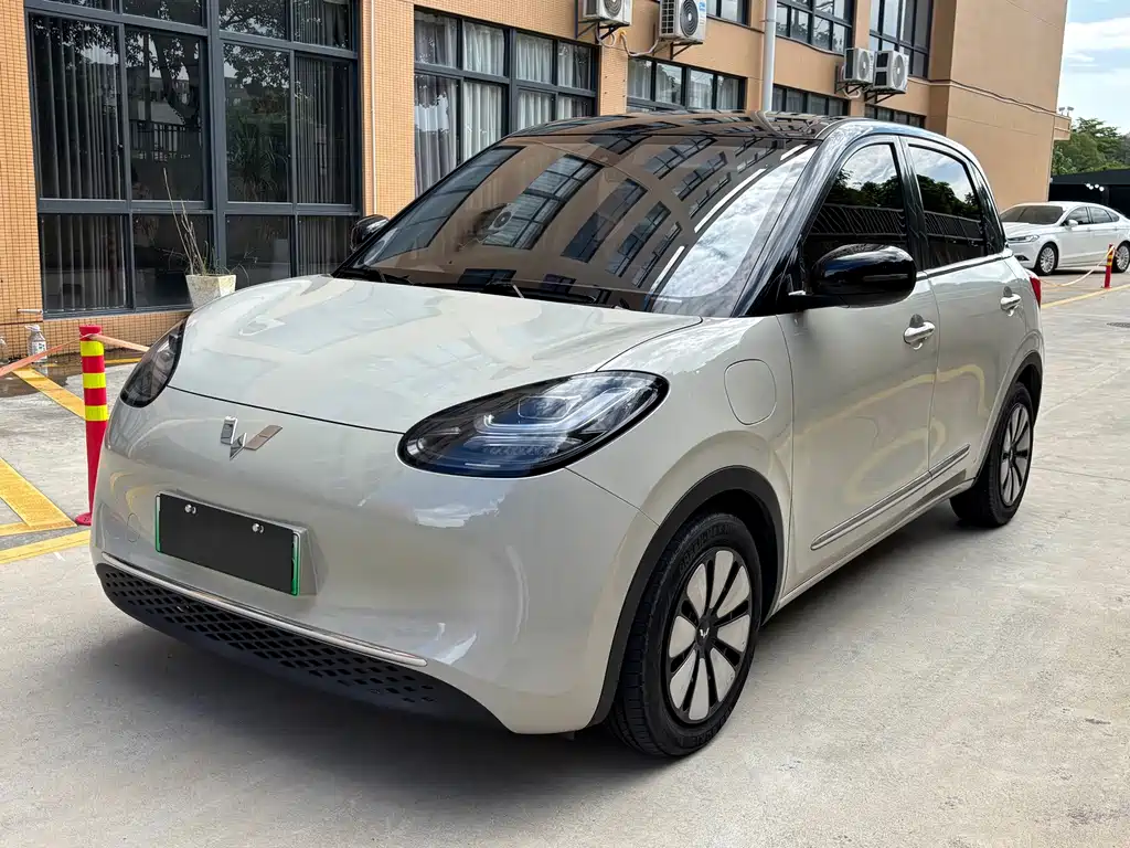 Wuling Bingo 2024