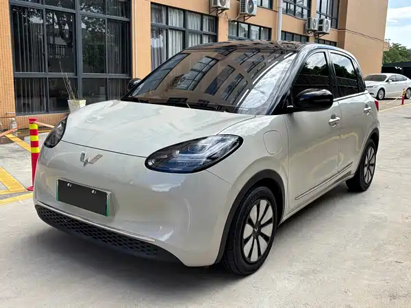 Wuling Bingo 2024