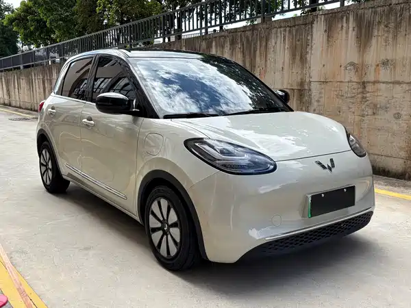 Wuling Bingo 2024