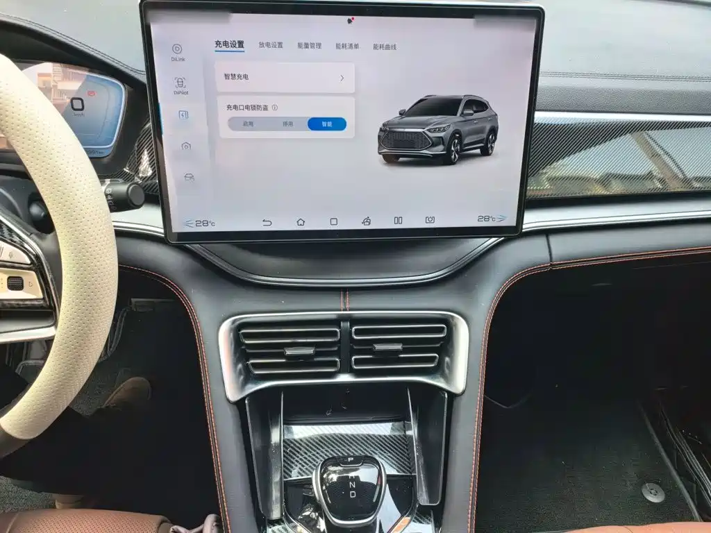 BYD Song PLUS New Energy 2022 — фото 6