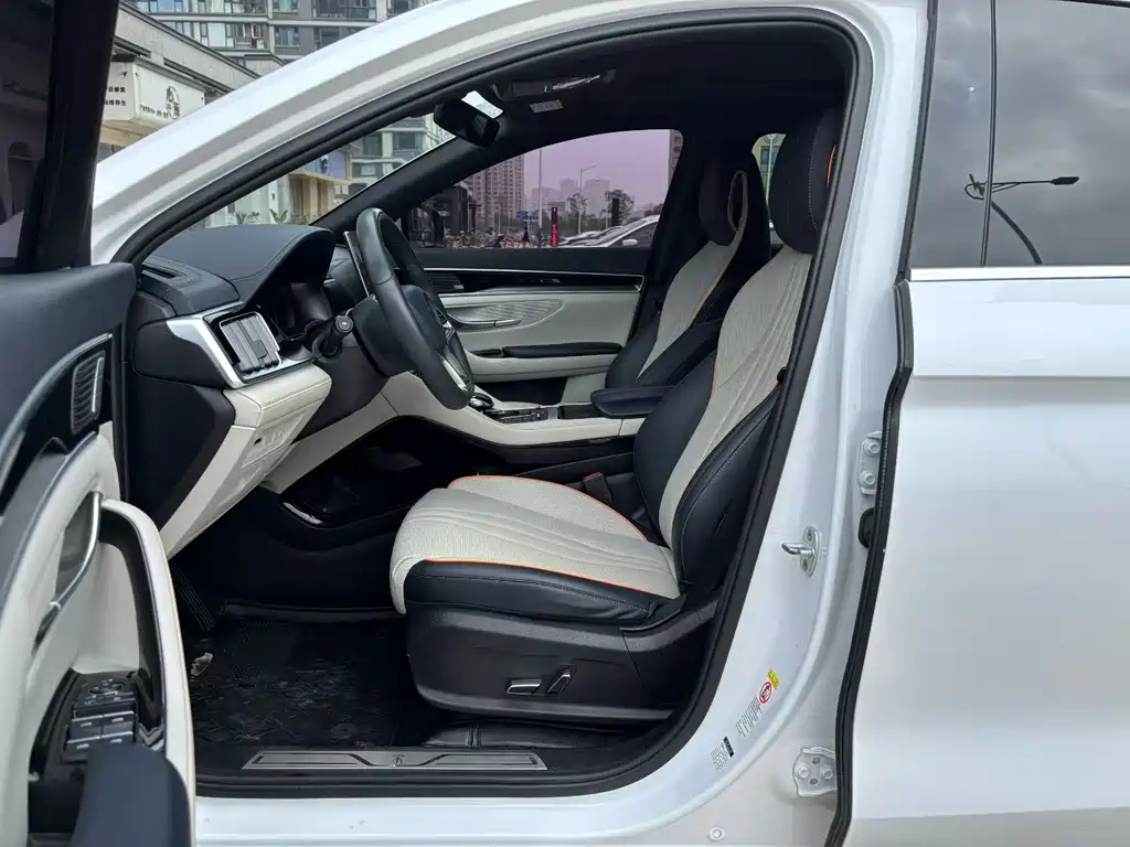 BYD PLUS New Energy 2021 — фото 4