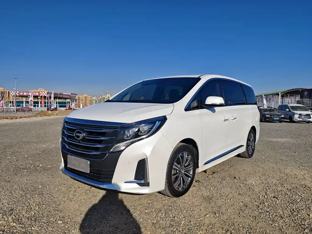 GAC Motor Trumpchi M8 2020 — фото 1