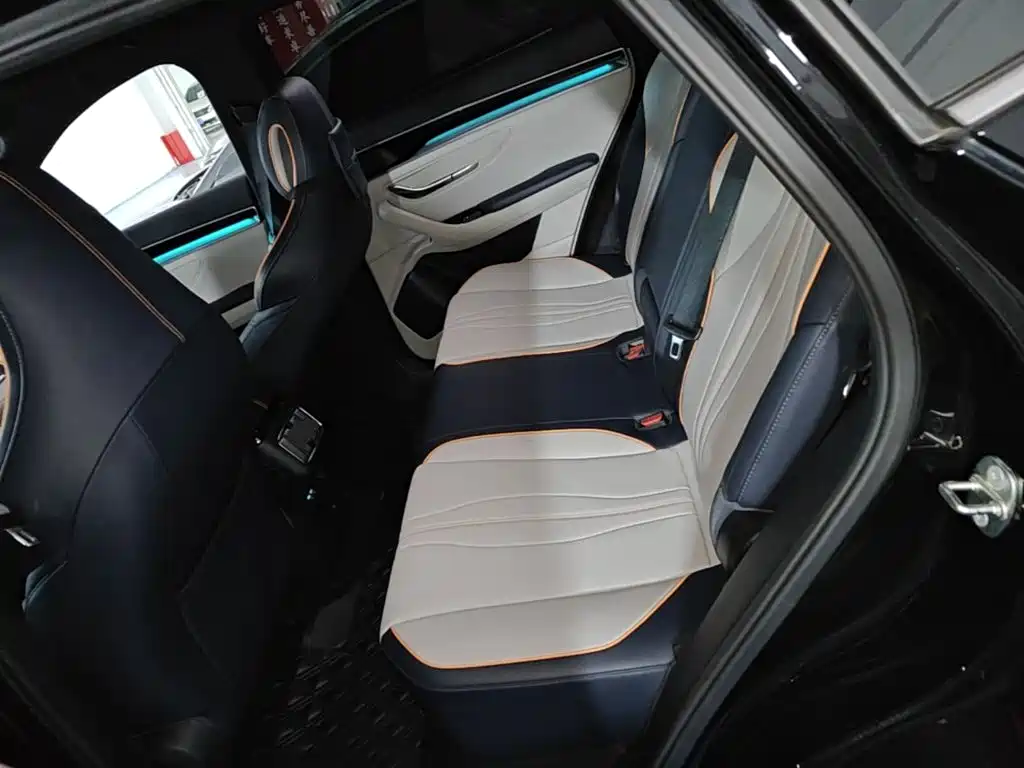 BYD PLUS New Energy 2023 — фото 17