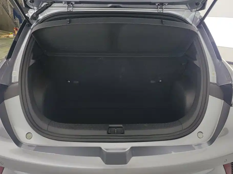 BYD Dolphin 2022
