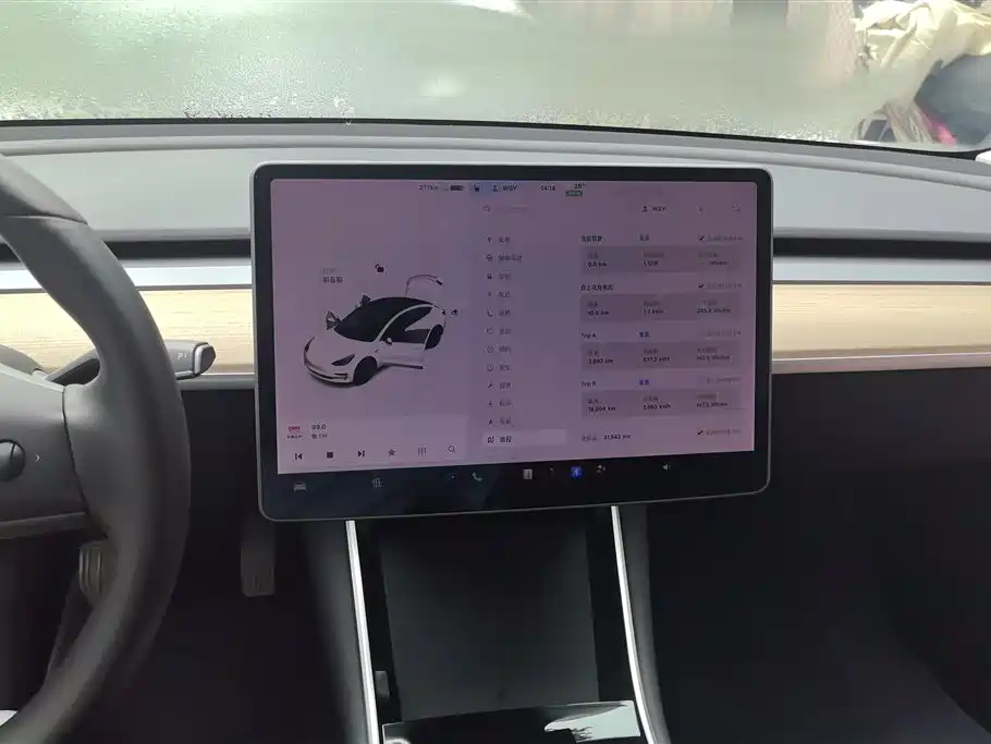 Tesla Model 3 2020 — фото 13