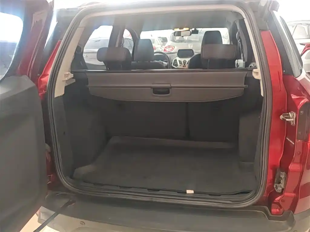 Ford Ecosport 2017 — фото 19