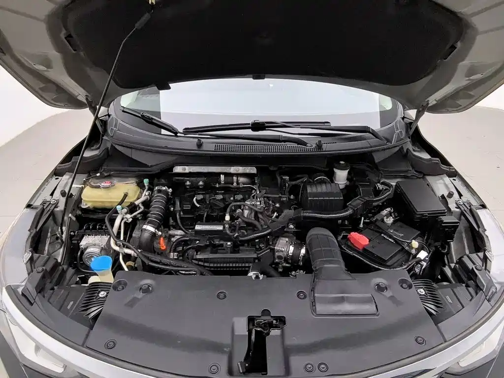 Honda Crider 2019
