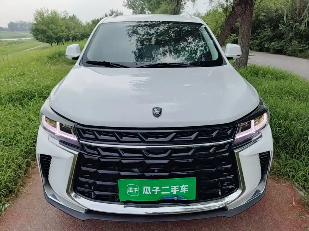 Dongfeng Fengxing T5 2023 — фото 3