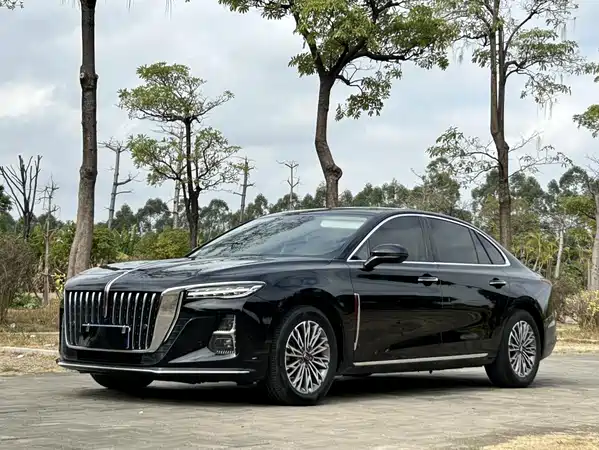 Hongqi H5 2023