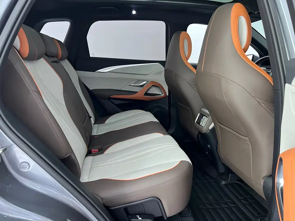 BYD Pro New Energy 2023 — фото 11
