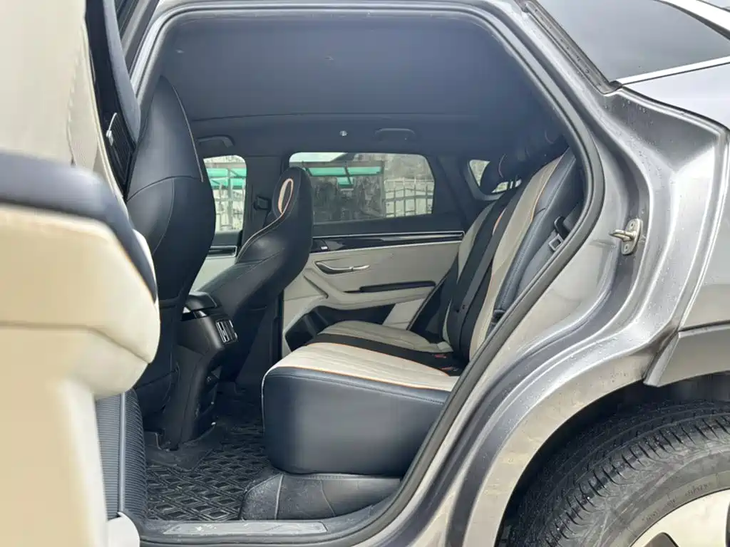 BYD Song PLUS New Energy 2021 — фото 12