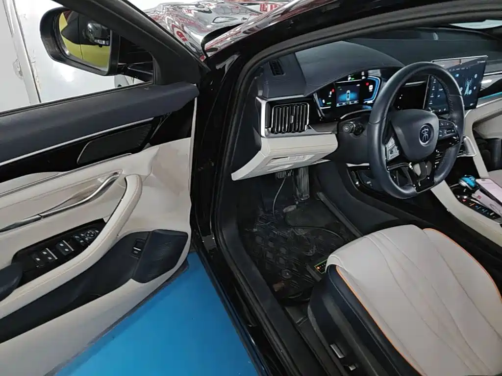 BYD PLUS New Energy 2023 — фото 16