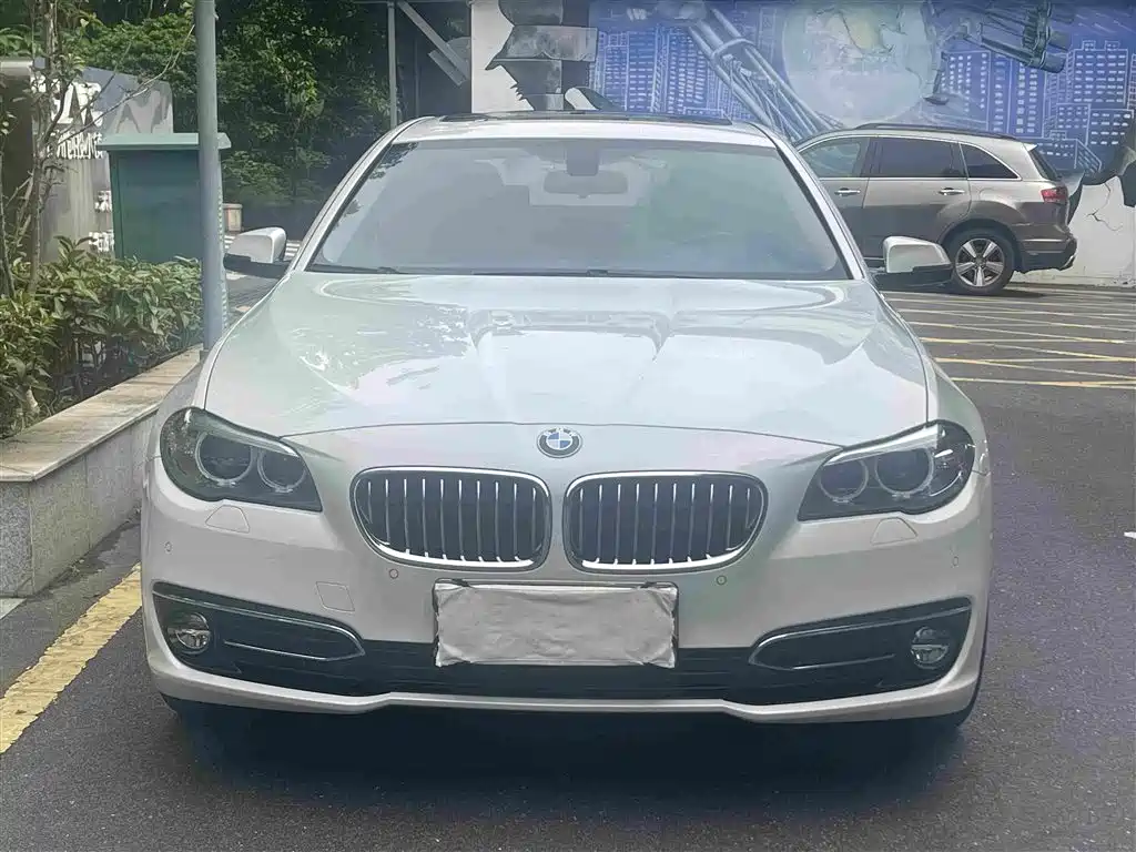 BMW 5 Series New Energy 2016