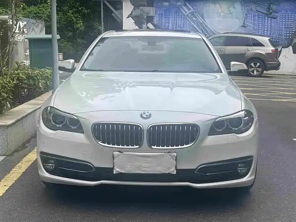 BMW 5 Series New Energy 2016