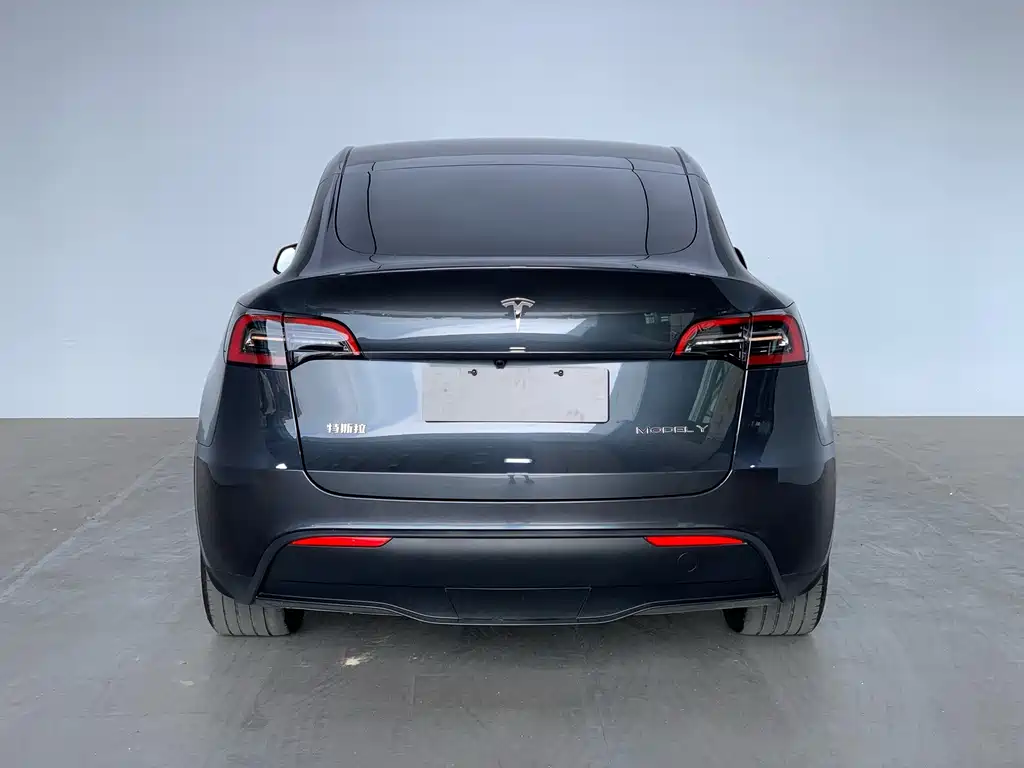 Tesla Model Y 2024 — фото 6
