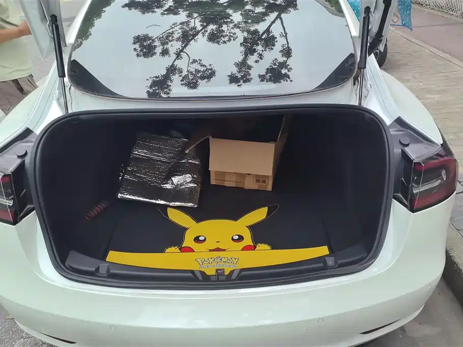 Tesla Model 3 2020