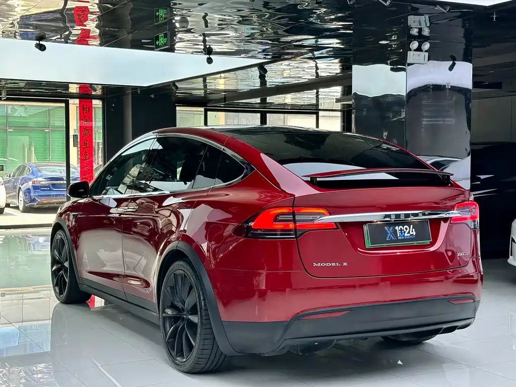 Tesla Model X 2018 — фото 6