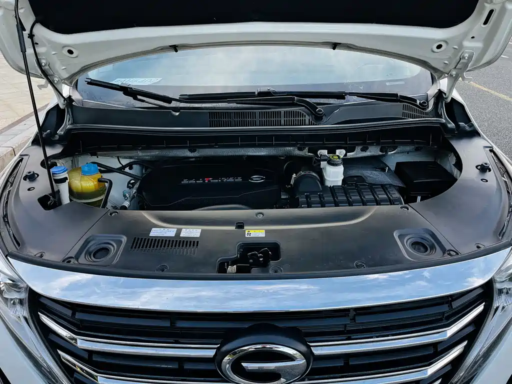 GAC Motor Trumpchi M8 2021 — фото 20