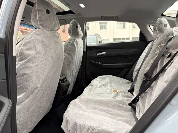 Geely Binrui 2026