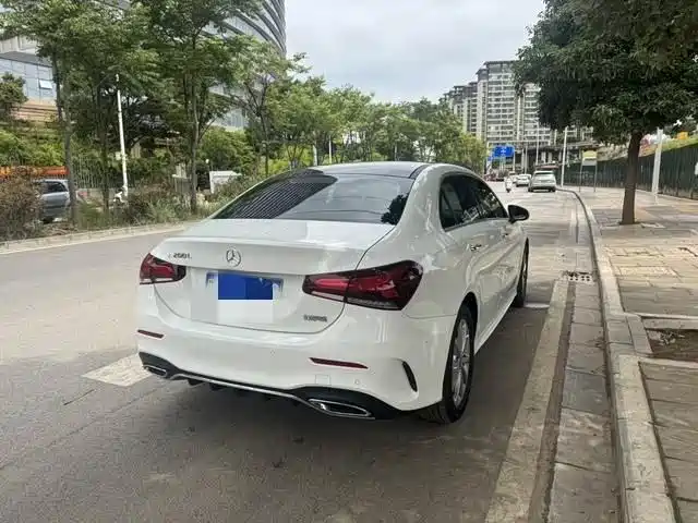 Mercedes-Benz A-Class 2020 — фото 14