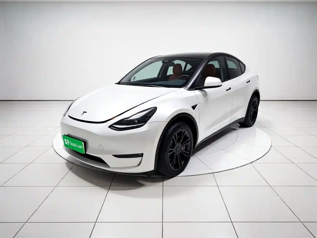 Tesla Model Y 2023 — фото 1