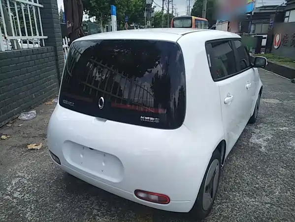 Ora White Cat 2020