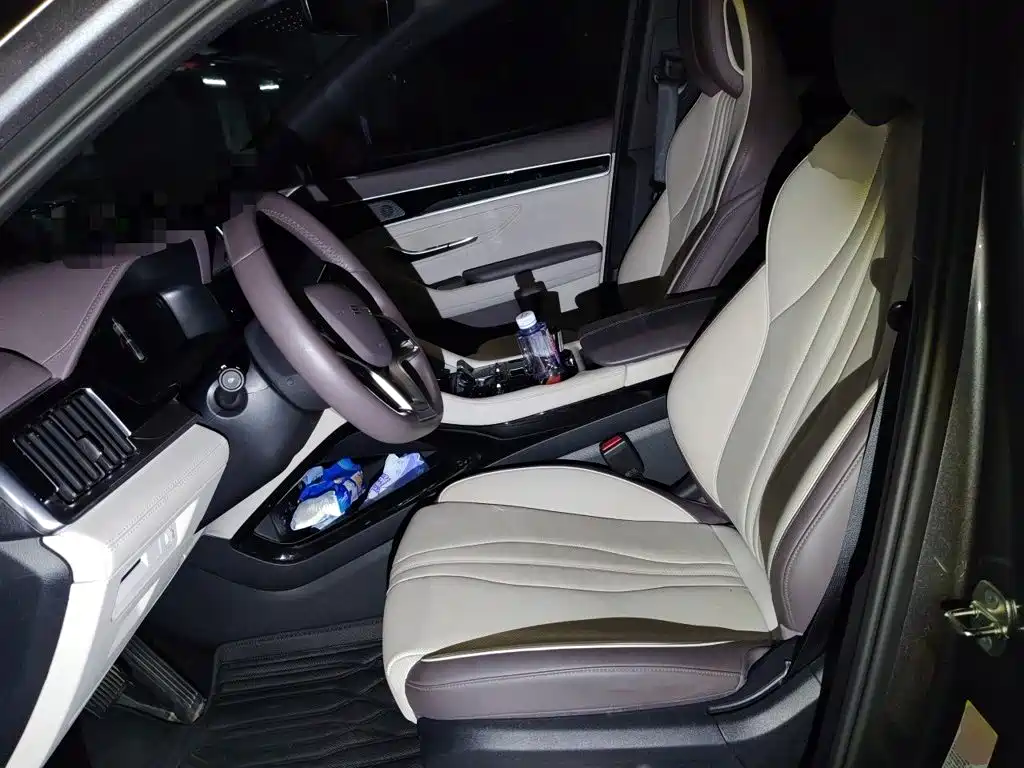 BYD Song PLUS New Energy 2024 — фото 16