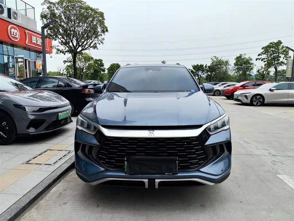 BYD Pro New Energy 2024 — фото 2