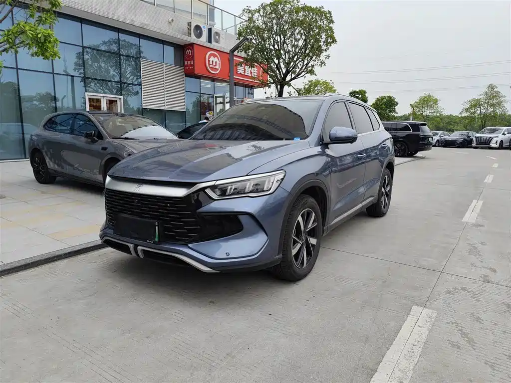 BYD Pro New Energy 2024 — фото 1
