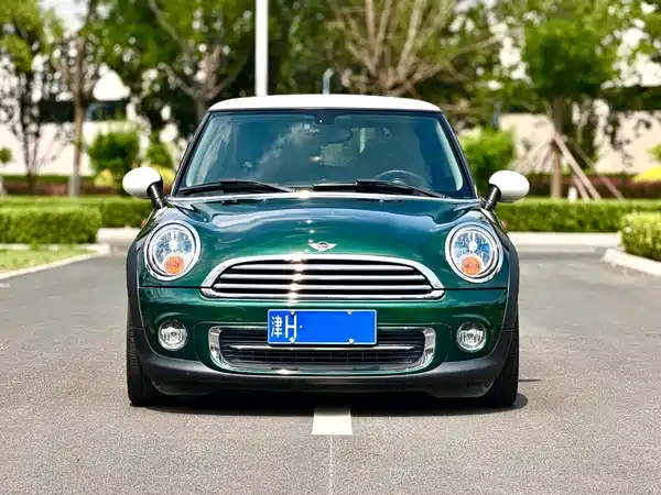 MINI 2013