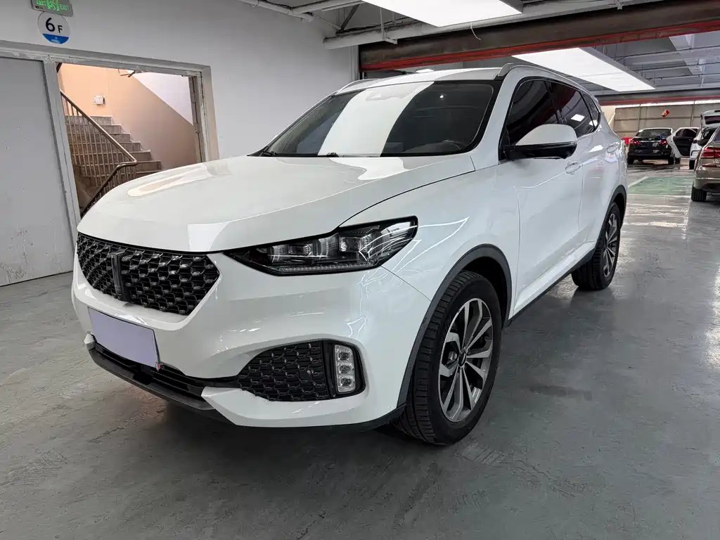 Wey VV6 2020