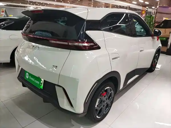 BYD Seagull 2024