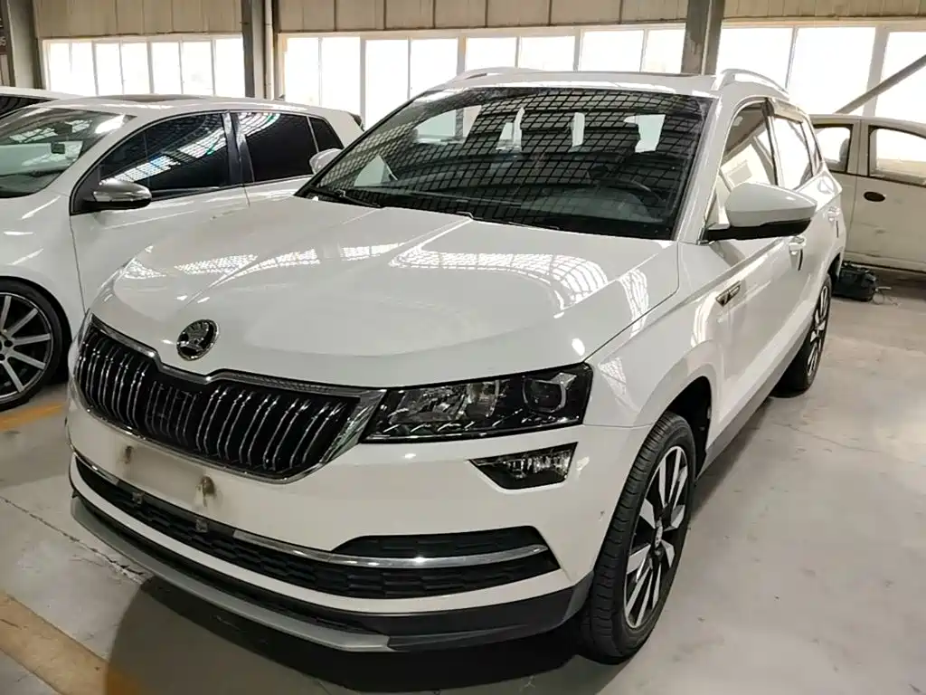 Skoda Karoq 2019 — фото 2