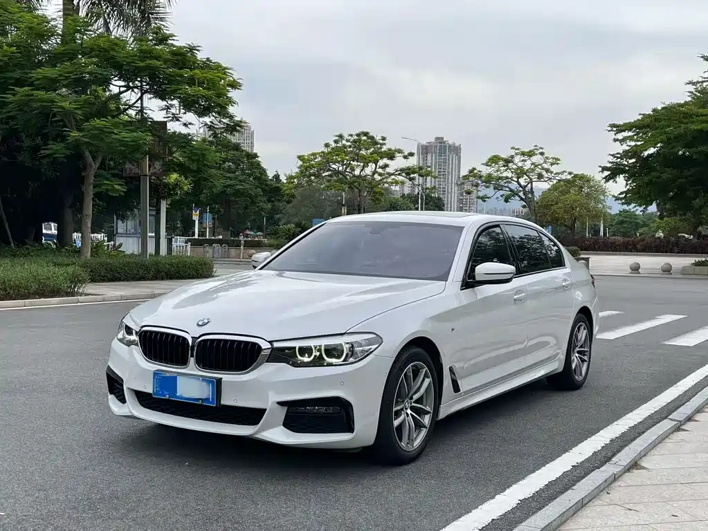 BMW 5 Series 2019 — фото 1