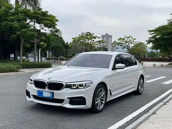 BMW 5 Series 2019