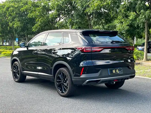 Dongfeng Haoji 2025