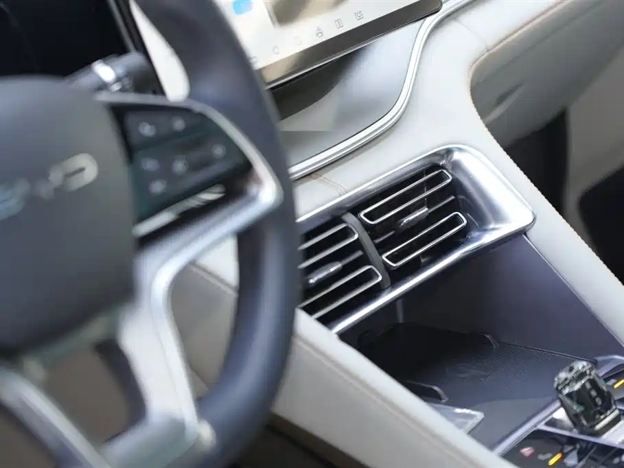 BYD PLUS New Energy 2023 — фото 13
