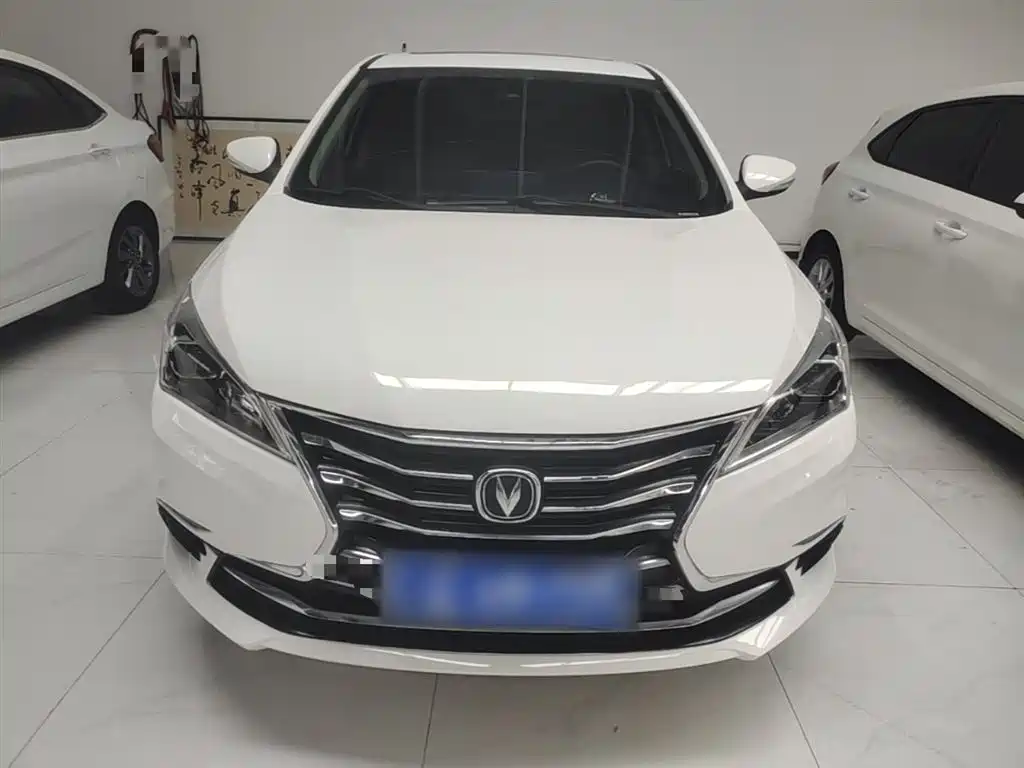 Changan Eado DT 2020 — фото 3