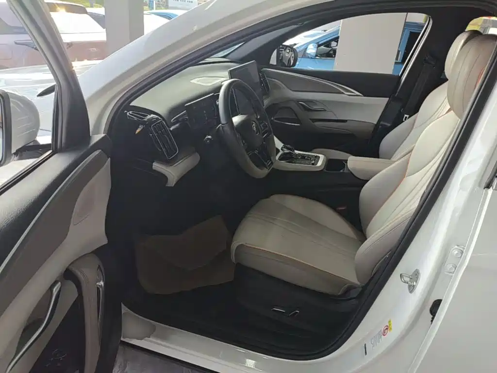 BYD Song Pro New Energy 2024 — фото 16
