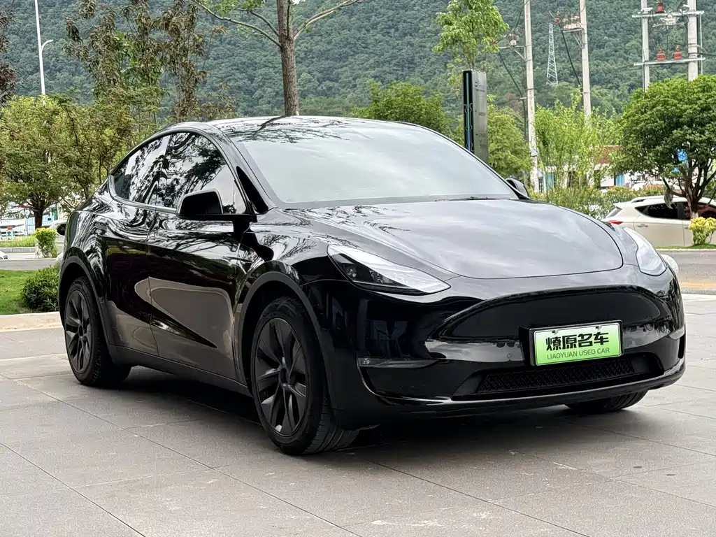 Tesla Model Y 2024 — фото 3