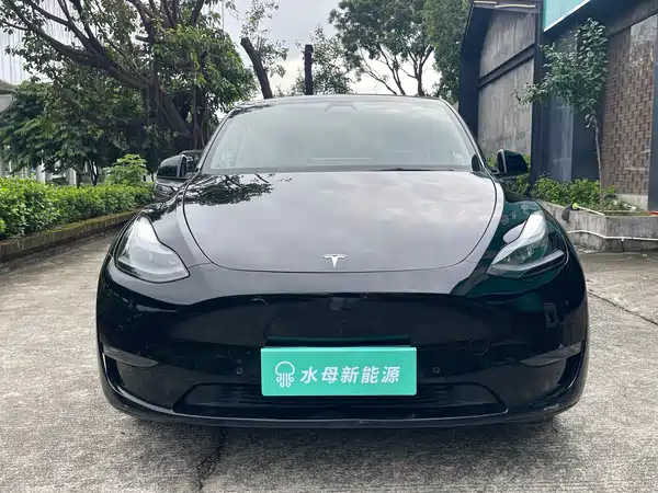 Tesla Model Y 2021