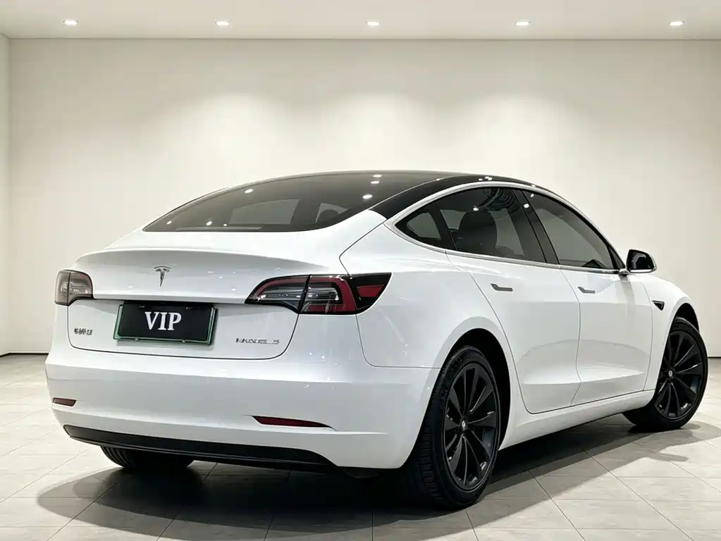Tesla Model 3 2021 — фото 13
