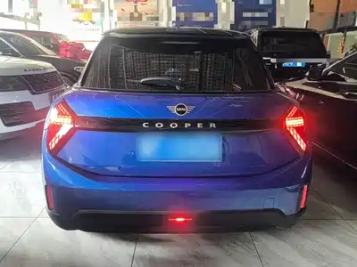 MINI MINI 2025