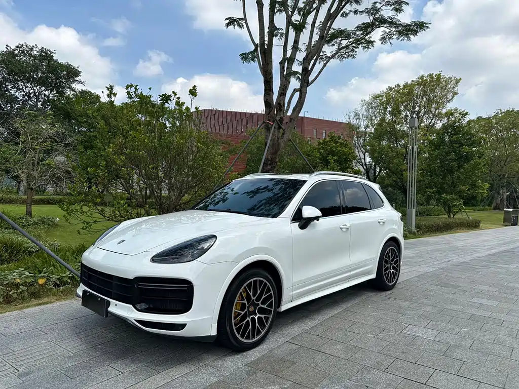Porsche Cayenne 2014 — фото 13