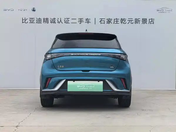 BYD Dolphin 2022